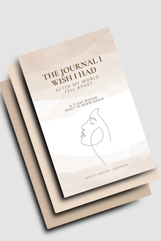 The Journal I Wish I Had - After My World Fell Apart